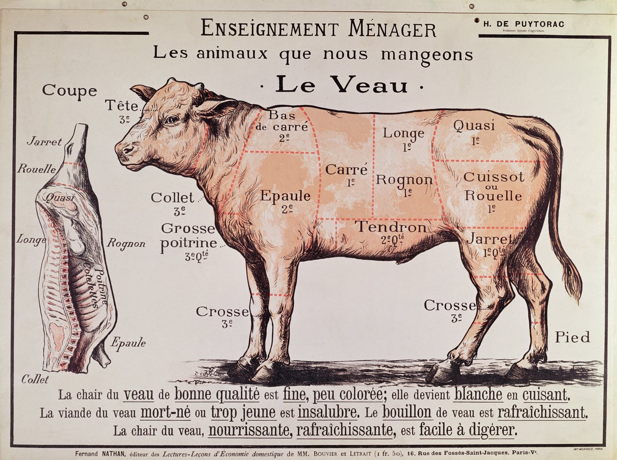 Kalbfleisch: Diagramm der verschiedenen Fleischstücke von French School