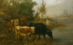 Kühe am Wasser