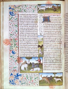 Jagdhunde, aus dem Livre de la Chasse von Gaston Phebus de Foix (1331-91)