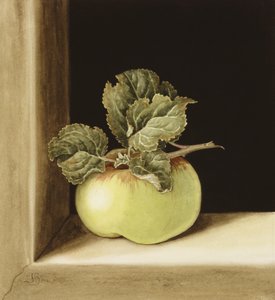 Apfel