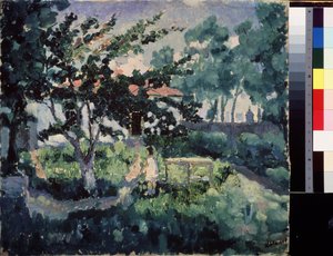 Sommerlandschaft