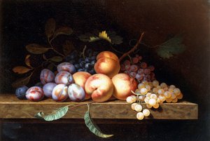 Pfirsiche, Pflaumen und Trauben auf einem Steinsims