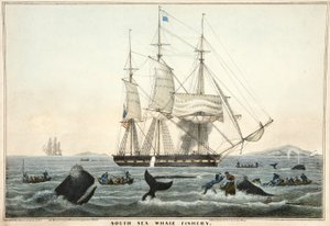 Südsee-Walfang, veröffentlicht 1825