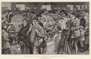 Die Smithfield Club Show in der Royal Agricultural Hall, Islington